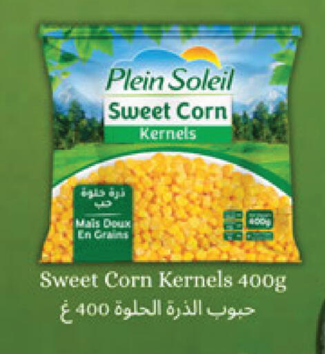 available at كارفور in قطر - الوكرة