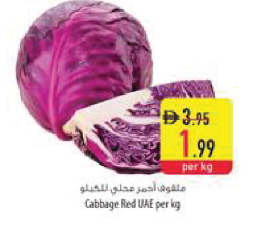 Cabbage available at Safeer Market in UAE - Al Ain