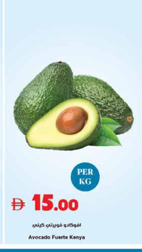 Avocado from Kenya available at تروليز سوبرماركت in الإمارات العربية المتحدة , الامارات - دبي