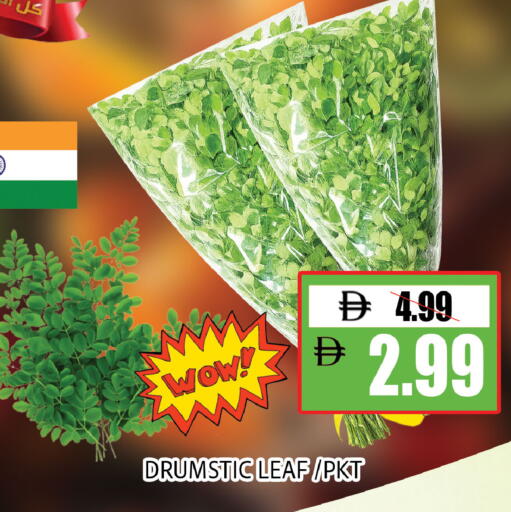 available at ليبتس هايبرماركت in الإمارات العربية المتحدة , الامارات - ٱلْعَيْن‎