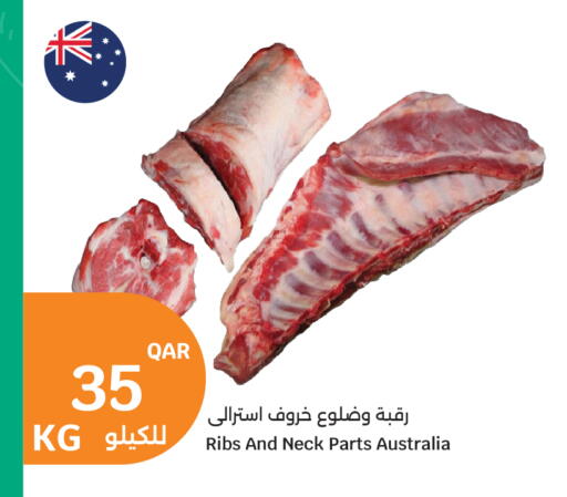 available at سيتي هايبرماركت in قطر - الشمال