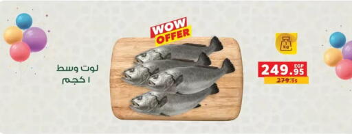 available at بنده in Egypt - القاهرة
