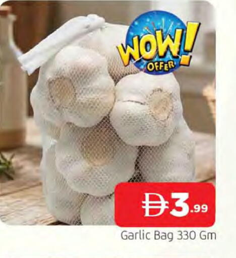Garlic available at المدينة in الإمارات العربية المتحدة , الامارات - الشارقة / عجمان