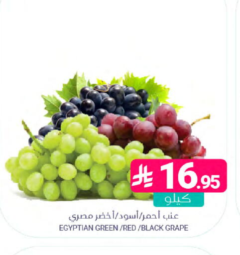 from Egypt available at اسواق المنتزه in مملكة العربية السعودية, السعودية, سعودية - المنطقة الشرقية