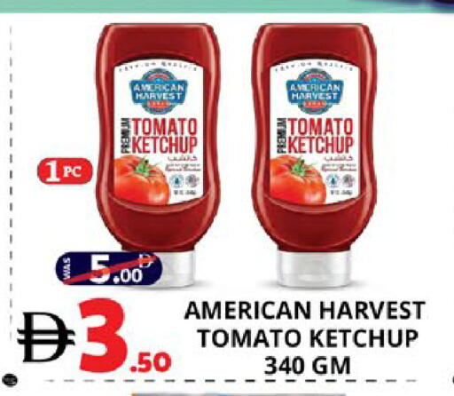 Tomato available at اكسبرس المدينة هايبرماركت in الإمارات العربية المتحدة , الامارات - أبو ظبي