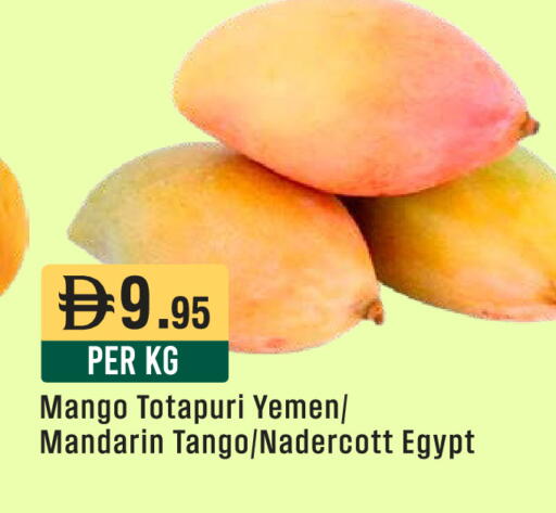 Mango Mandarin from Yemen Egypt available at ويست زون سوبرماركت in الإمارات العربية المتحدة , الامارات - الشارقة / عجمان