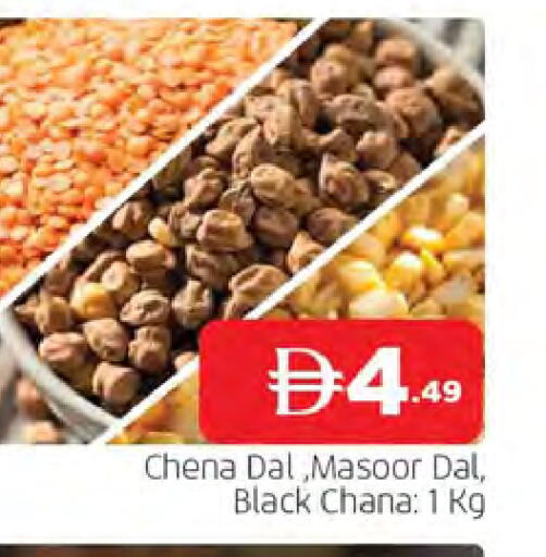 available at المدينة in الإمارات العربية المتحدة , الامارات - الشارقة / عجمان