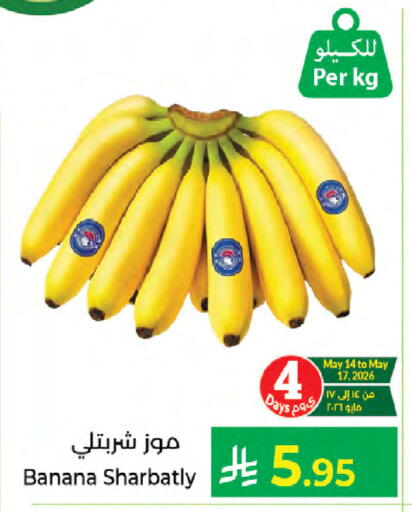 Banana available at كبايان هايبرماركت in مملكة العربية السعودية, السعودية, سعودية - جدة