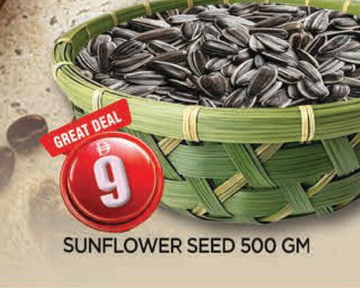 available at المدينة in الإمارات العربية المتحدة , الامارات - الشارقة / عجمان