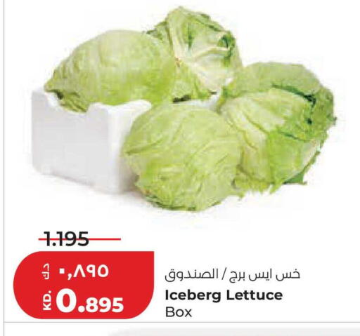 Lettuce available at لولو هايبر ماركت in الكويت - محافظة الجهراء
