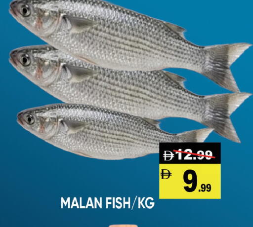 available at Leptis Hypermarket  in UAE - Al Ain