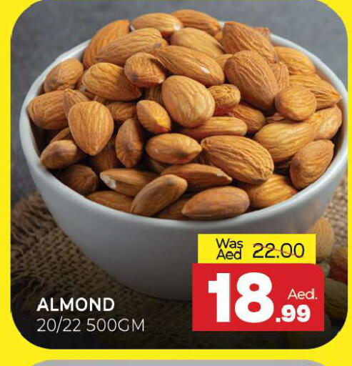 available at المدينة in الإمارات العربية المتحدة , الامارات - الشارقة / عجمان
