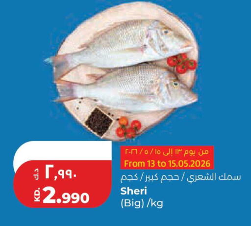 available at لولو هايبر ماركت in الكويت - مدينة الكويت