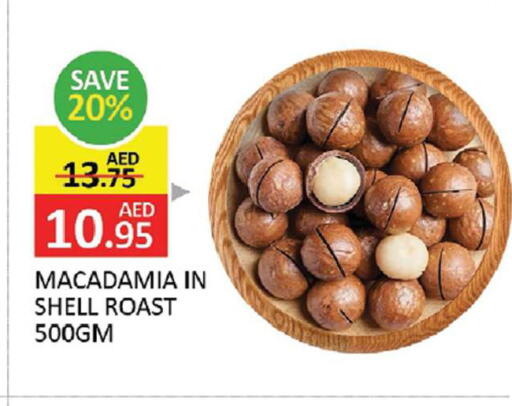 available at المدينة in الإمارات العربية المتحدة , الامارات - الشارقة / عجمان