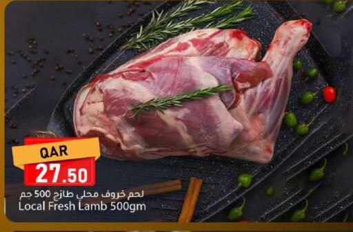 available at دانا ماركت in قطر - الشحانية