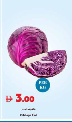 Cabbage available at تروليز سوبرماركت in الإمارات العربية المتحدة , الامارات - دبي
