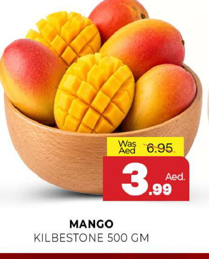 Mango available at المدينة in الإمارات العربية المتحدة , الامارات - الشارقة / عجمان