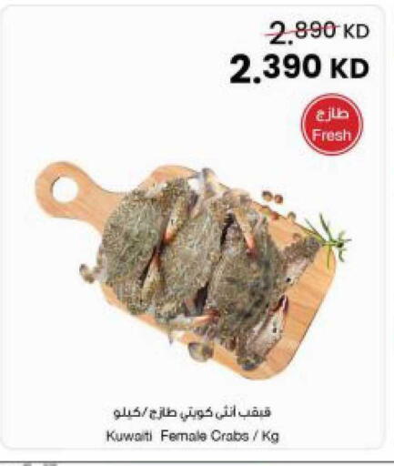 available at مركز سلطان in الكويت - مدينة الكويت