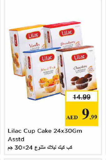 Strawberry Vanilla available at Nesto Hypermarket in UAE - Sharjah / Ajman
