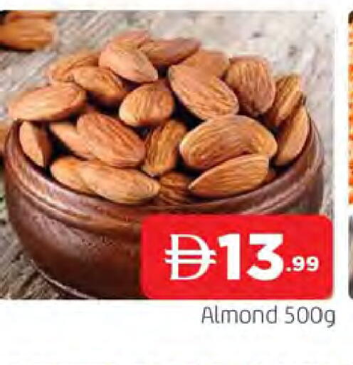 available at المدينة in الإمارات العربية المتحدة , الامارات - الشارقة / عجمان