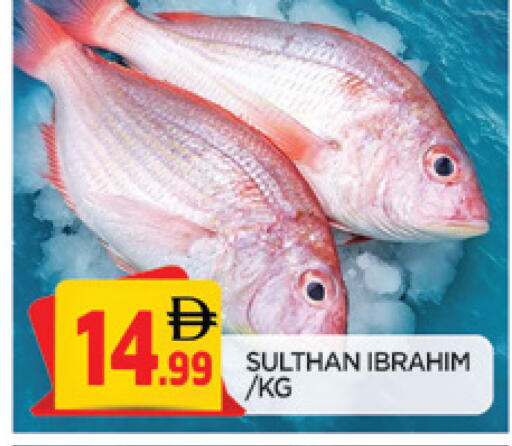 available at المدينة in الإمارات العربية المتحدة , الامارات - الشارقة / عجمان