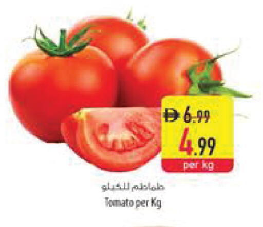 Tomato available at Safeer Market in UAE - Al Ain
