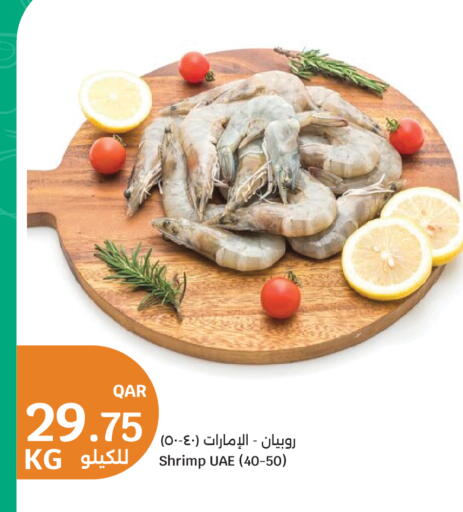 available at سيتي هايبرماركت in قطر - الشمال