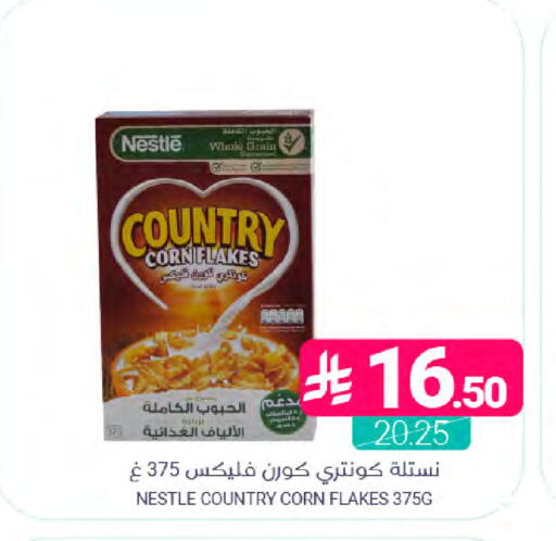 available at اسواق المنتزه in مملكة العربية السعودية, السعودية, سعودية - المنطقة الشرقية