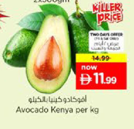Avocado from Kenya available at نستو هايبرماركت in الإمارات العربية المتحدة , الامارات - دبي