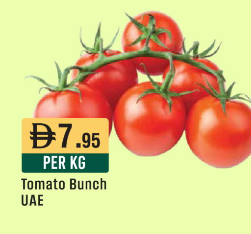 Tomato available at ويست زون سوبرماركت in الإمارات العربية المتحدة , الامارات - الشارقة / عجمان