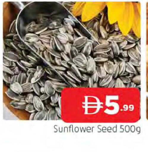available at المدينة in الإمارات العربية المتحدة , الامارات - الشارقة / عجمان