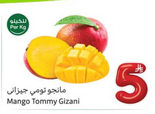 Mango available at أسواق عبد الله العثيم in مملكة العربية السعودية, السعودية, سعودية - نجران