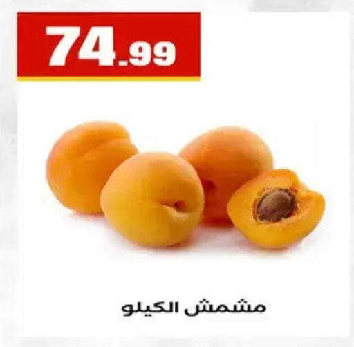 available at مارت فيل in Egypt - القاهرة