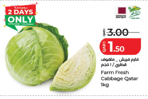 Cabbage from Qatar available at LuLu Hypermarket in Qatar - Doha