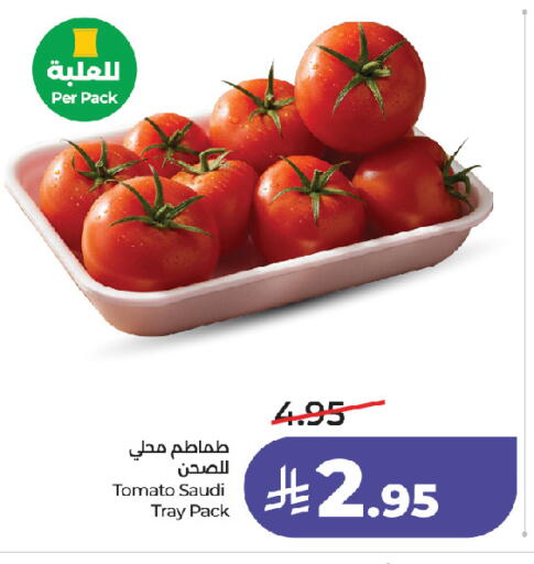 Tomato from Saudi Arabia available at لولو هايبرماركت in مملكة العربية السعودية, السعودية, سعودية - جدة