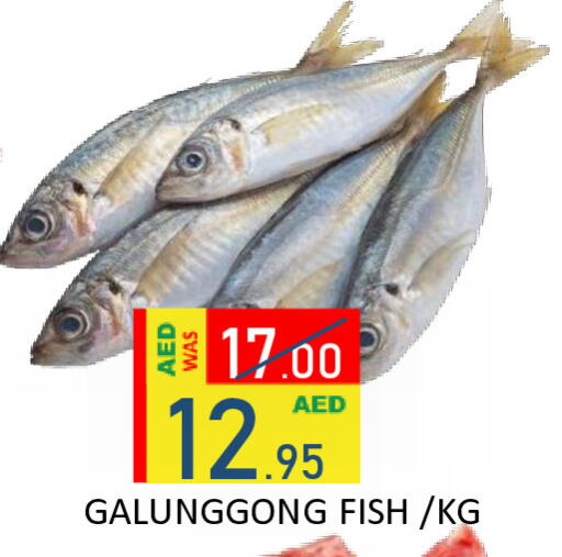 available at رويال جلف هايبرماركت in الإمارات العربية المتحدة , الامارات - أبو ظبي