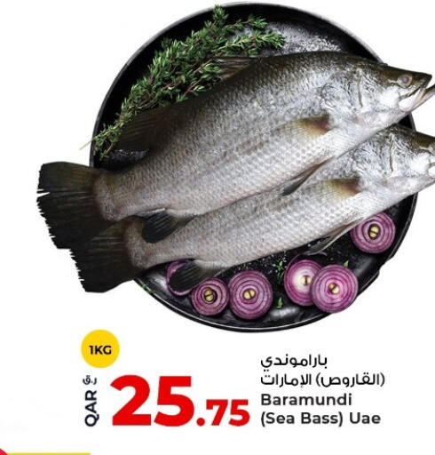 available at روابي هايبرماركت in قطر - الشحانية