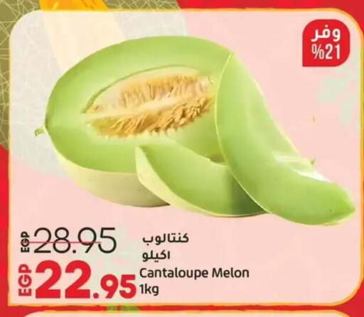 Cantaloupe Melon available at Lulu Hypermarket  in Egypt