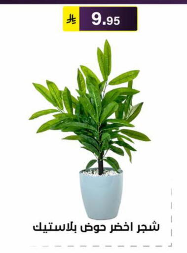 available at Al Hussain Top Up in KSA, Saudi Arabia, Saudi - Riyadh