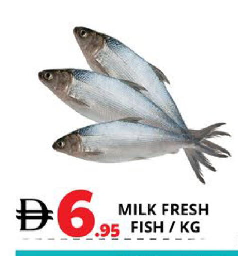 available at اكسبرس المدينة هايبرماركت in الإمارات العربية المتحدة , الامارات - أبو ظبي