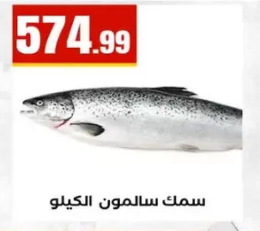 available at المحلاوي ستورز in Egypt - القاهرة