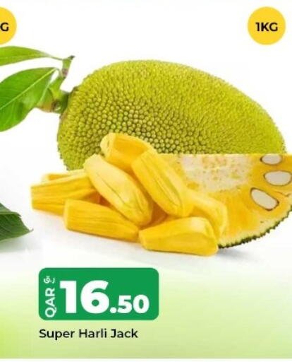 available at روابي هايبرماركت in قطر - الوكرة