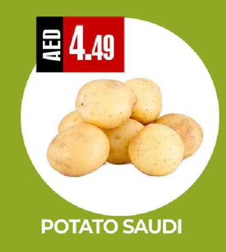 Potato from Saudi Arabia available at  RIVIERA SUPERMARKET L.L.C in UAE - Abu Dhabi