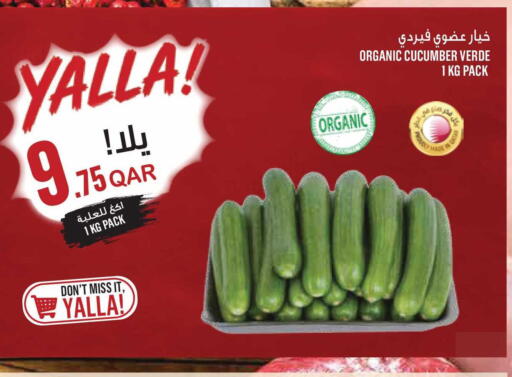 Cucumber available at مونوبريكس in قطر - الوكرة