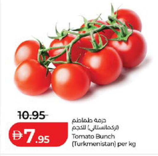 Tomato from Turkmenistan available at Lulu Hypermarket in UAE - Abu Dhabi