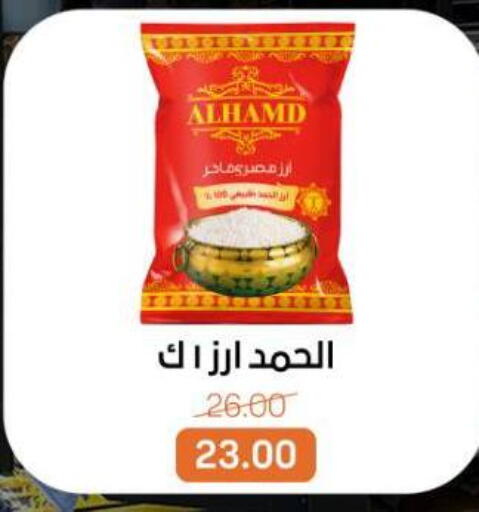 available at بيت الجملة in Egypt - القاهرة