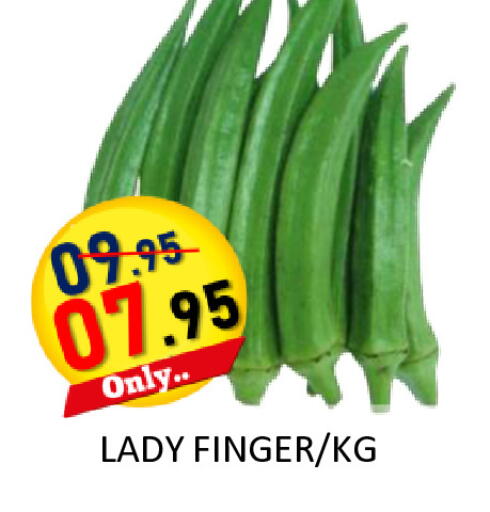available at رويال جلف هايبرماركت in الإمارات العربية المتحدة , الامارات - أبو ظبي