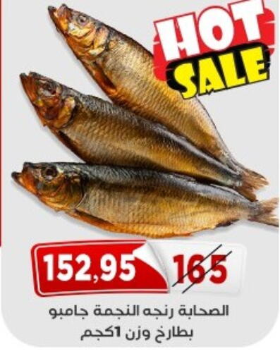 available at اسواق البدر in Egypt - القاهرة