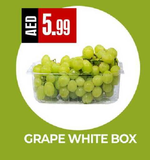 available at  RIVIERA SUPERMARKET L.L.C in UAE - Abu Dhabi
