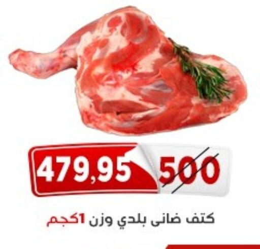 available at اسواق البدر in Egypt - القاهرة